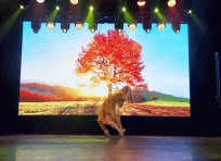 14. Farewell (FS2024) 09.jpg